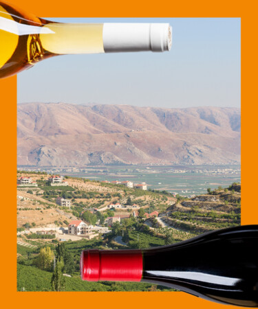 9 of the Best Wines From Lebanon’s Bekaa Valley