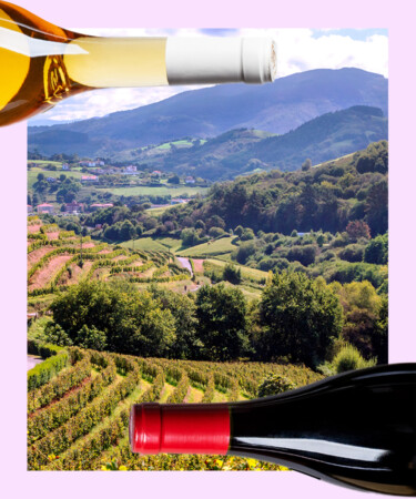 4 of the Best White Wines from Rioja