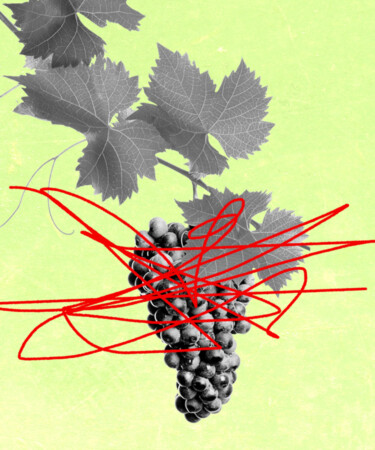 What if Large-Scale Producers Released Faux Natural Wines?