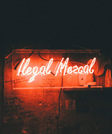 10 Things You Should Know About Ilegal Mezcal