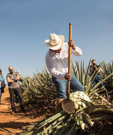 11 Things You Should Know About Patrón Tequila