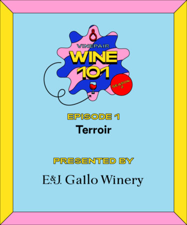 Wine 101: Terroir