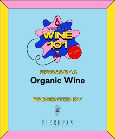 Wine 101: Organic Wine
